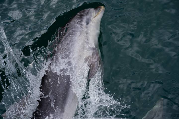 新西兰 第 4 张照片